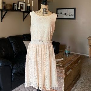 NWT Loft Lace Dress